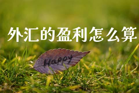 外汇的盈利怎么算_https://m.15771688.com_期货手续费_第1张