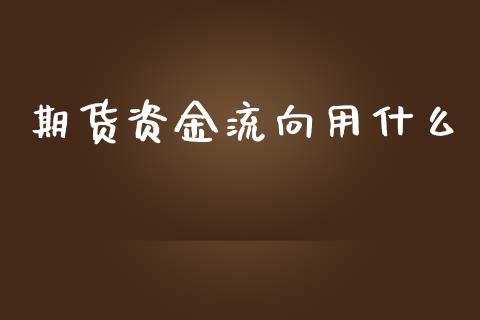 期货资金流向用什么_https://m.15771688.com_道指实时行情_第1张