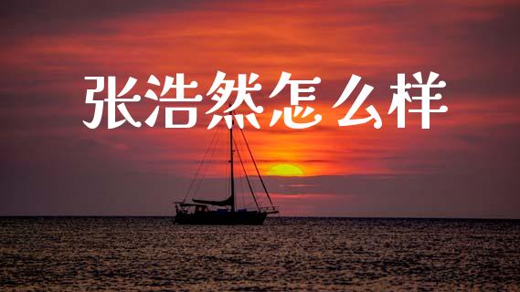 张浩然怎么样_https://m.15771688.com_期货开户_第1张