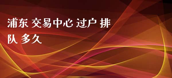 浦东 交易中心 过户 排队 多久_https://m.15771688.com_期货开户_第1张