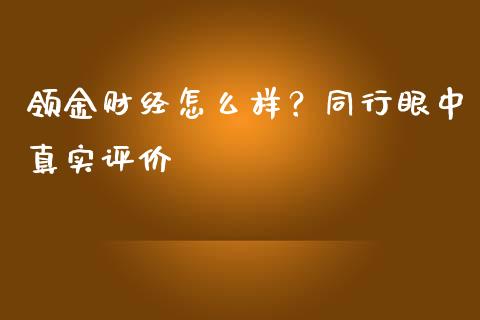 领金财经怎么样？同行眼中真实评价_https://m.15771688.com_期货开户_第1张