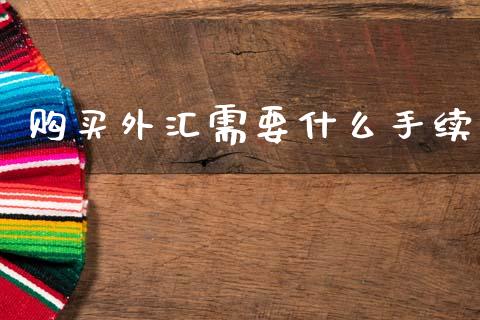 购买外汇需要什么手续_https://m.15771688.com_期货手续费_第1张