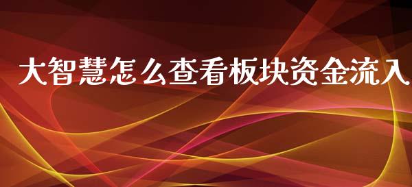 大智慧怎么查看板块资金流入_https://m.15771688.com_道指实时行情_第1张