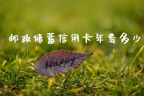 邮政储蓄信用卡年费多少_https://m.15771688.com_美国道指_第1张
