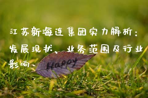 江苏新海连集团实力解析：发展现状、业务范围及行业影响_https://m.15771688.com_道指实时行情_第1张