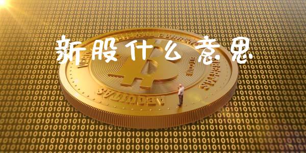 新股什么意思_https://m.15771688.com_美国道指_第1张
