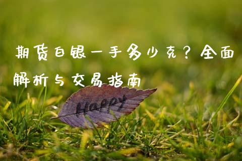 期货白银一手多少克？全面解析与交易指南_https://m.15771688.com_期货开户_第1张