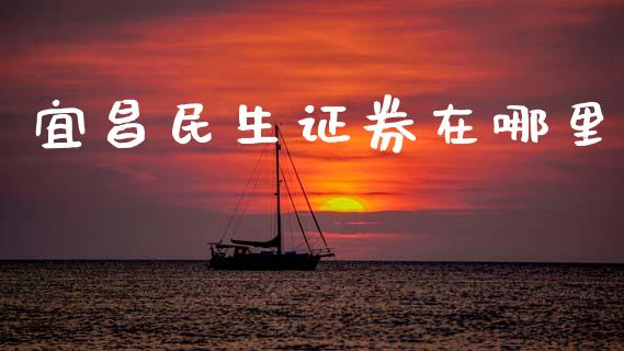 宜昌民生证券在哪里_https://m.15771688.com_期货开户_第1张