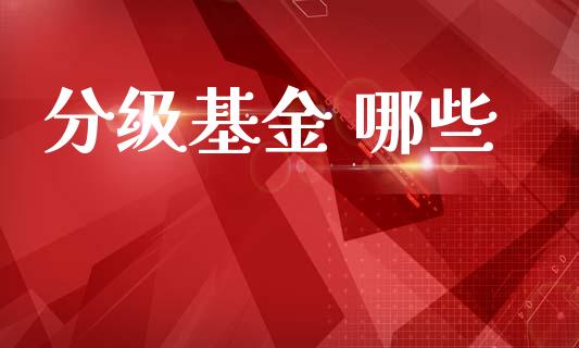 分级基金 哪些_https://m.15771688.com_期货手续费_第1张
