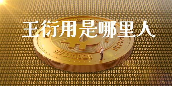 王衍用是哪里人_https://m.15771688.com_期货开户_第1张