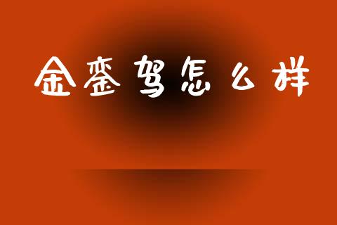 金銮驾怎么样_https://m.15771688.com_道指实时行情_第1张
