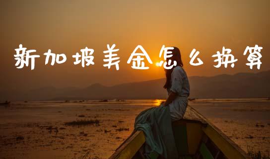 新加坡美金怎么换算_https://m.15771688.com_期货开户_第1张