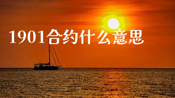 1901合约什么意思_https://m.15771688.com_期货手续费_第1张