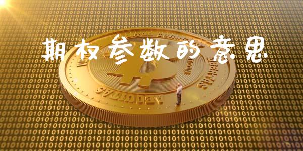 期权参数的意思_https://m.15771688.com_期货开户_第1张