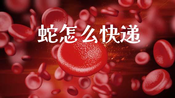 蛇怎么快递_https://m.15771688.com_美国道指_第1张