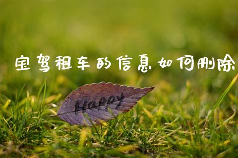 宝驾租车的信息如何删除_https://m.15771688.com_道指实时行情_第1张