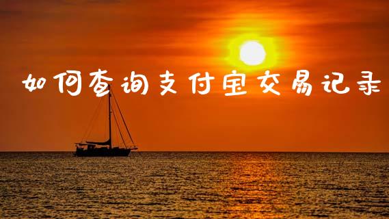 如何查询支付宝交易记录_https://m.15771688.com_美国道指_第1张