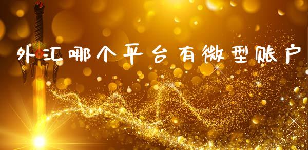 外汇哪个平台有微型账户_https://m.15771688.com_道指实时行情_第1张