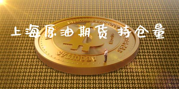 上海原油期货 持仓量_https://m.15771688.com_期货手续费_第1张