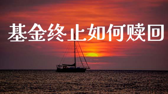 基金终止如何赎回_https://m.15771688.com_道指实时行情_第1张