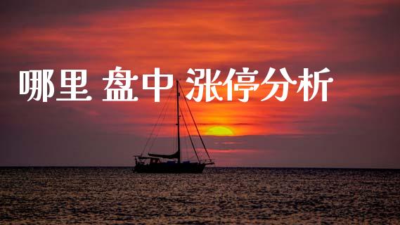 哪里 盘中 涨停分析_https://m.15771688.com_期货开户_第1张