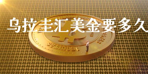 乌拉圭汇美金要多久_https://m.15771688.com_期货手续费_第1张