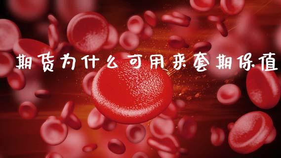 期货为什么可用来套期保值_https://m.15771688.com_期货开户_第1张