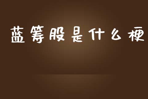 蓝筹股是什么梗_https://m.15771688.com_美国道指_第1张