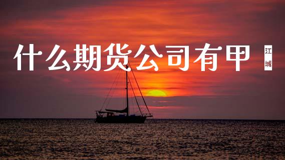 什么期货公司有甲苯_https://m.15771688.com_期货手续费_第1张