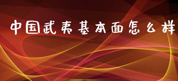 中国武夷基本面怎么样_https://m.15771688.com_美国道指_第1张