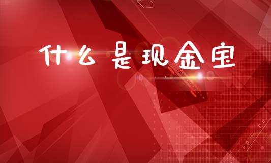什么是现金宝_https://m.15771688.com_美国道指_第1张