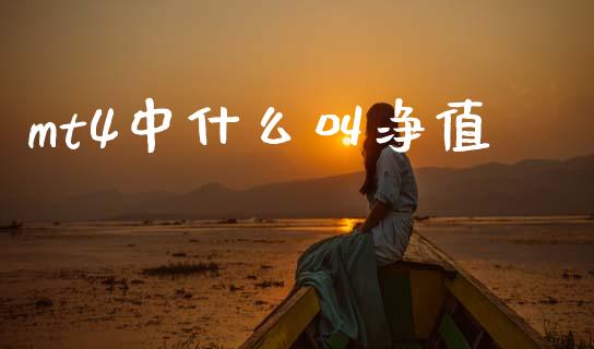 mt4中什么叫净值_https://m.15771688.com_期货手续费_第1张