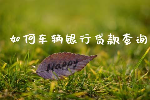 如何车辆银行贷款查询_https://m.15771688.com_美国道指_第1张