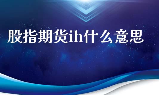 股指期货ih什么意思_https://m.15771688.com_期货手续费_第1张