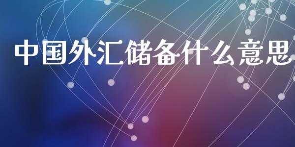 中国外汇储备什么意思_https://m.15771688.com_期货开户_第1张
