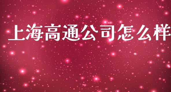 上海高通公司怎么样_https://m.15771688.com_期货手续费_第1张