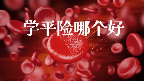 学平险哪个好_https://m.15771688.com_期货开户_第1张