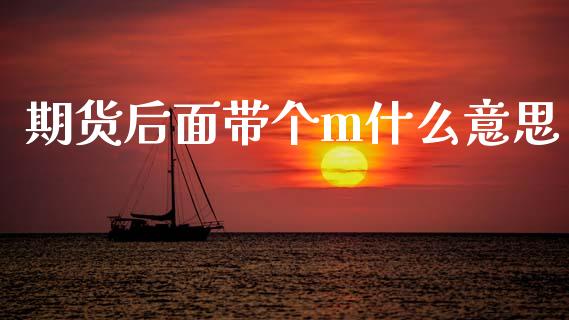 期货后面带个m什么意思_https://m.15771688.com_美国道指_第1张