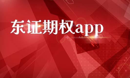 东证期权app_https://m.15771688.com_道指实时行情_第1张