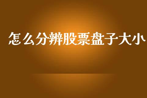怎么分辨股票盘子大小_https://m.15771688.com_道指实时行情_第1张