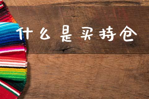 什么是买持仓_https://m.15771688.com_道指实时行情_第1张