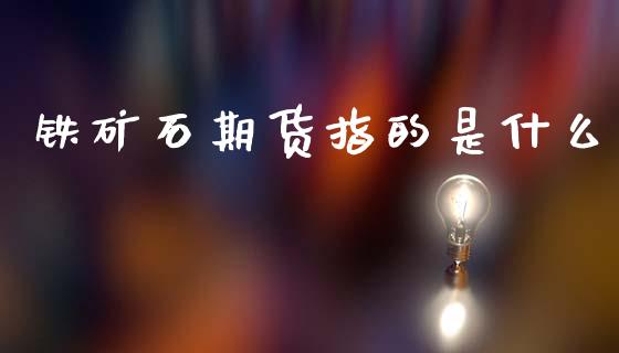 铁矿石期货指的是什么_https://m.15771688.com_期货手续费_第1张