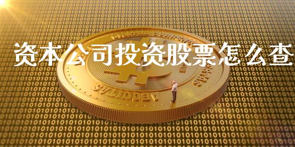 资本公司投资股票怎么查_https://m.15771688.com_美国道指_第1张