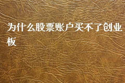 为什么股票账户买不了创业板_https://m.15771688.com_期货手续费_第1张
