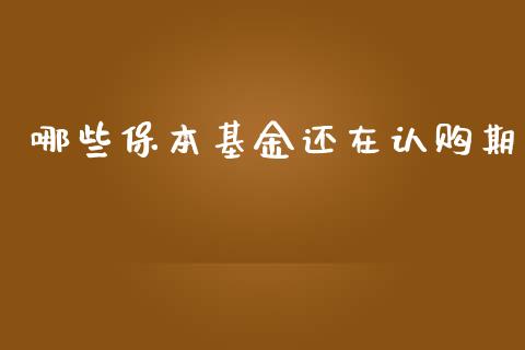 哪些保本基金还在认购期_https://m.15771688.com_美国道指_第1张