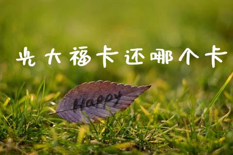 光大福卡还哪个卡_https://m.15771688.com_期货开户_第1张