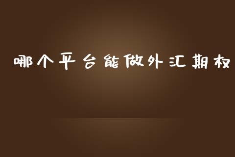 哪个平台能做外汇期权_https://m.15771688.com_道指实时行情_第1张