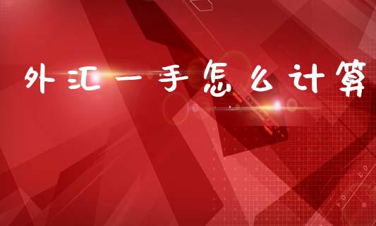 外汇一手怎么计算_https://m.15771688.com_美国道指_第1张