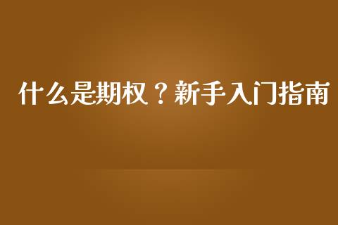 什么是期权？新手入门指南_https://m.15771688.com_期货开户_第1张