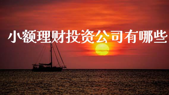 小额理财投资公司有哪些_https://m.15771688.com_美国道指_第1张
